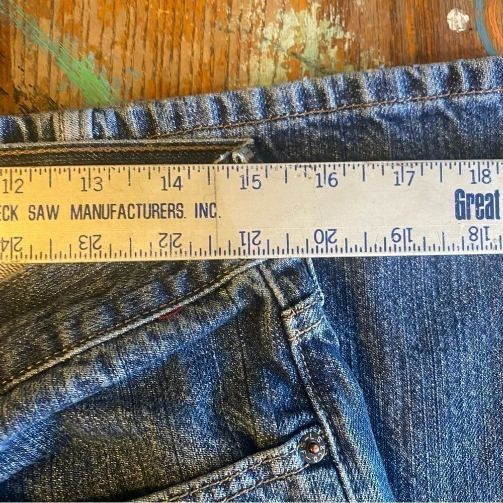 Levis levis 517